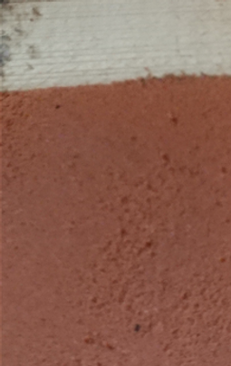 Le moulage du pion des segnieur de l'ombre